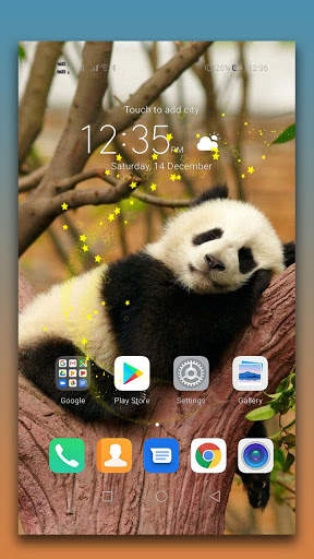 Panda Live Wallpaper screenshot 3