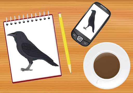 How To Draw Birds New screenshot 5