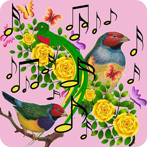 Bird Sound Ringtones: Bird call ringtones 3.0