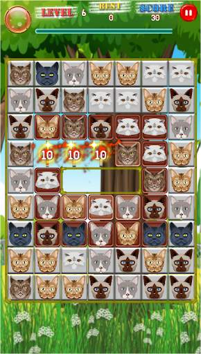 Cat Pop screenshot 2