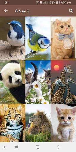 Animal and Birds Wallpapers स्क्रीनशॉट 5