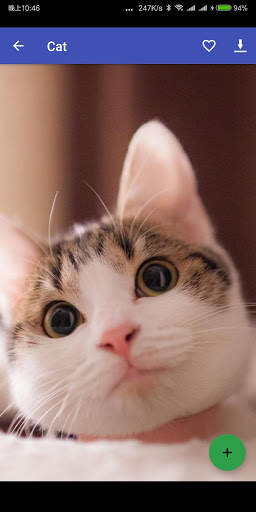 Animal Wallpaper screenshot 4