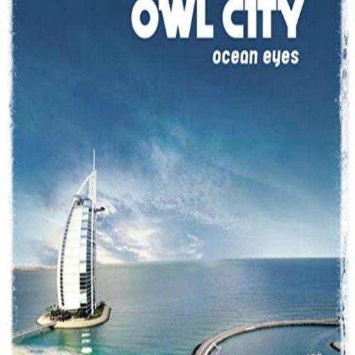Owl City Songs 1.0