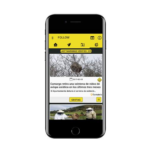 Vespa Velutina screenshot 6