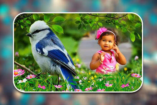 Birds Photo Frames screenshot 1