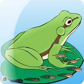My Pet Frog 1.5