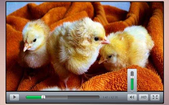 UHD Video Player screenshot 1