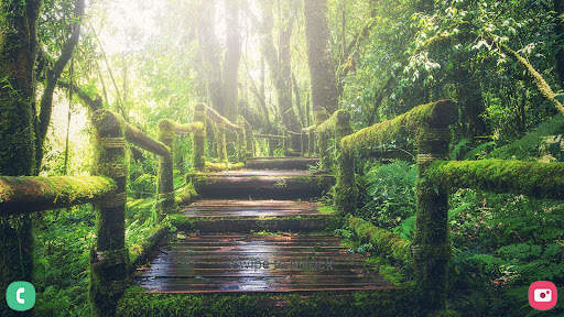 Nature Wallpaper screenshot 15