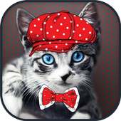 Cat Dress Up Photo Montage logo