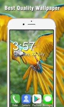 Bird Live Wallpapers HD screenshot 4