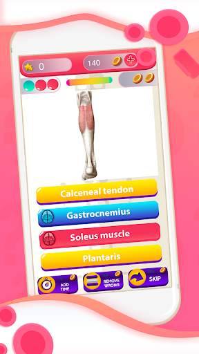 Human Anatomy And Physiology Quiz screenshot 1