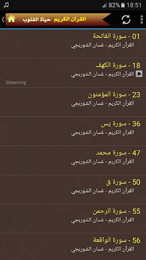 القران الكريم كاملا بصوت غسان الشوربجي screenshot 2