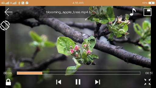 Video Player 4 تصوير الشاشة