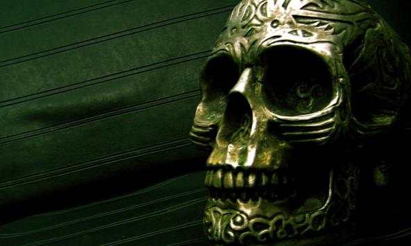 Skull Wallpapers screenshot 4