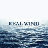 Wind Direction 1.1