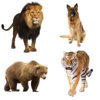 Animal Sounds Pictures on 9Apps