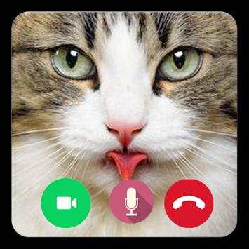 Call Video Talking Cat Prank screenshot 3