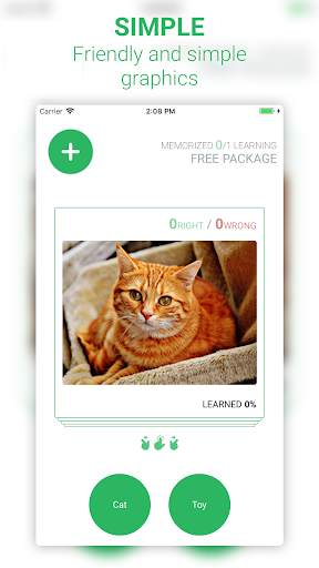 Anki Flashcards 2 screenshot 4