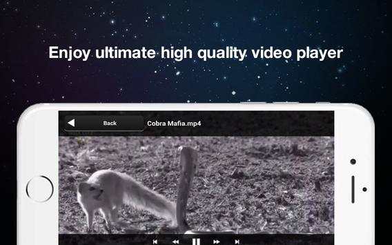 1080p Video Playback screenshot 3