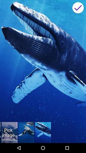 Blue Whale Lock Screen screenshot 8