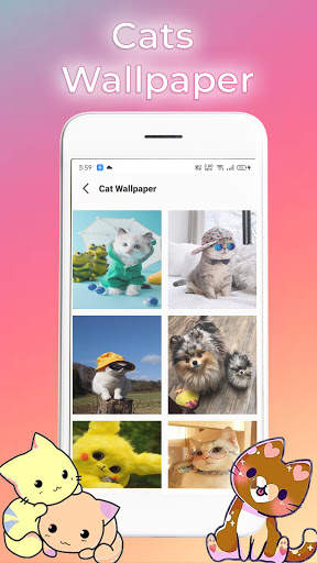 Cat Video Call : call fake, prank tom call screenshot 4