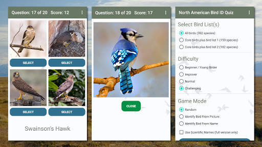 North American Bird ID Quiz screenshot 2