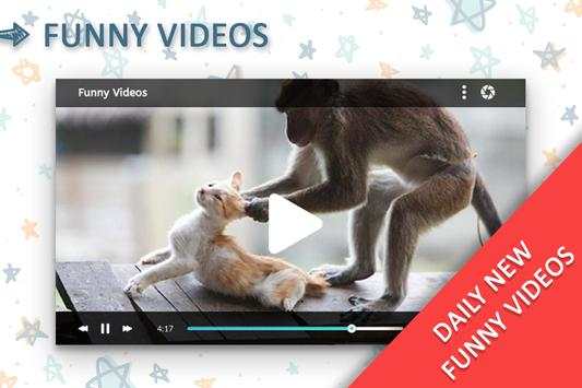 Funny Videos screenshot 4