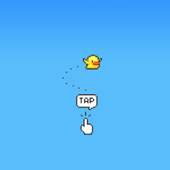 Crazy Bird 1.0.0.5