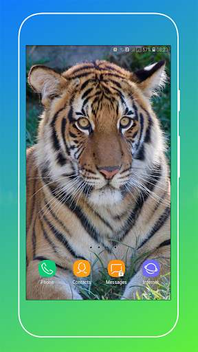 Tiger Wallpaper screenshot 17