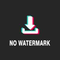 Tik Tok Downloader logo