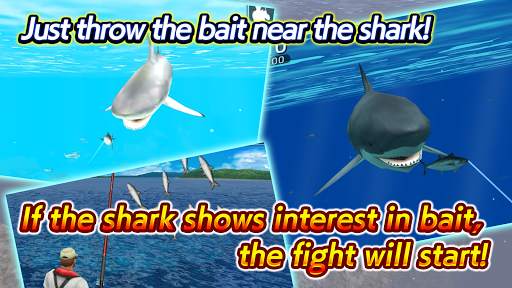 Wild Shark Fishing screenshot 5