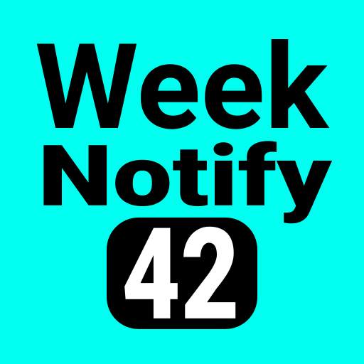Calendar Week Number in status 13