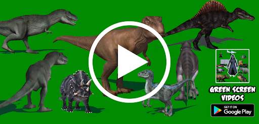 Green Screen Videos screenshot 5