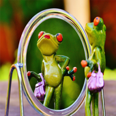 Miroir Pro icon
