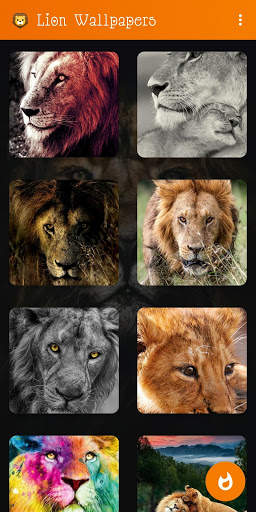 🦁 Lion Wallpaper : Wild King Backgrounds screenshot 10