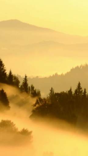 Autumn Video Wallpapers screenshot 5