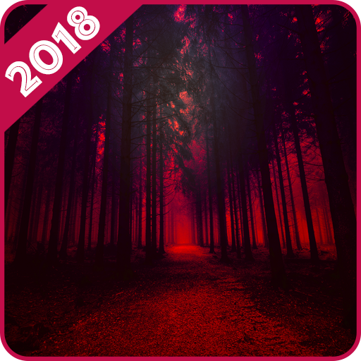 Forest Wallpaper icon