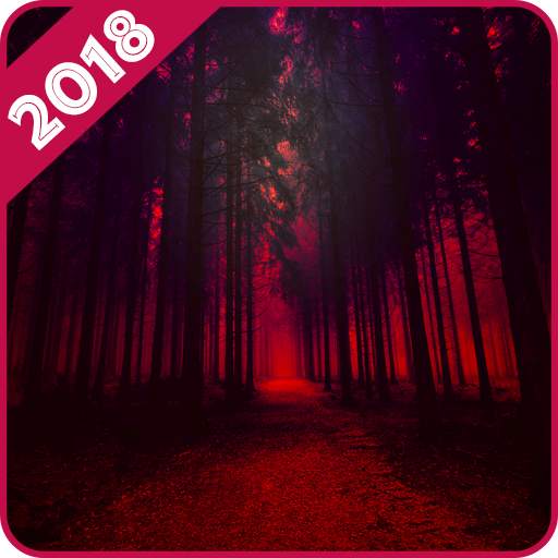 Forest Wallpaper 1.0
