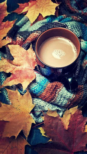 Autumn Wallpaper screenshot 1