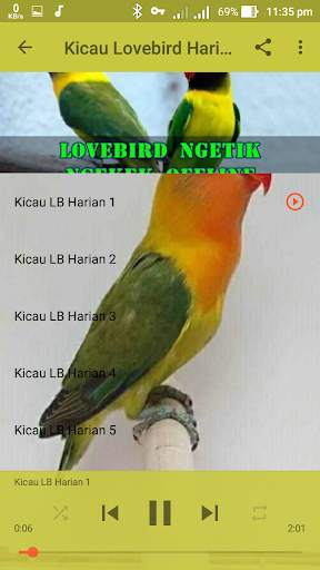 Lovebird Ngetik Ngekek Offline screenshot 5