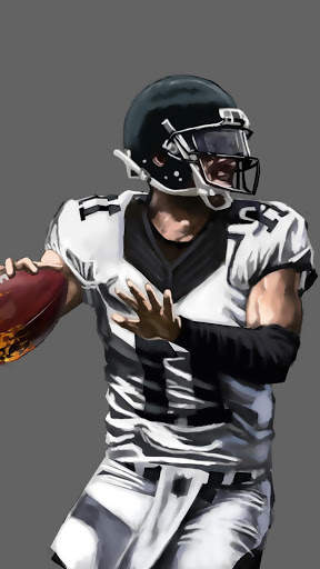 Handsome NFL APUS Live Wallpaper screenshot 7