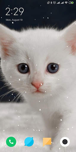 Cat Live Wallpaper screenshot 9