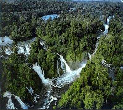 Amazon Rainforest The Best screenshot 7
