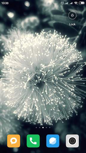 Dandelion Wallpaper HD screenshot 16