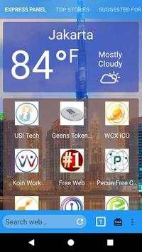 Browser ICO App screenshot 1