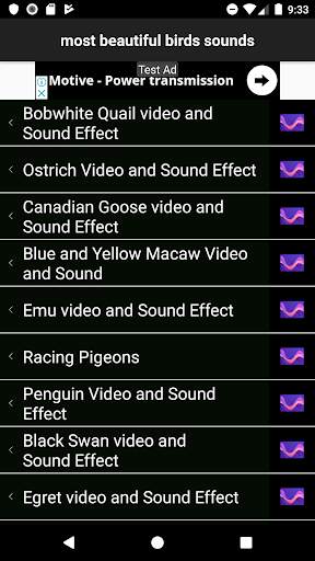 most beautiful birds sounds screenshot 3