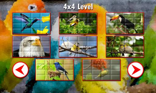 Birds Puzzles screenshot 5