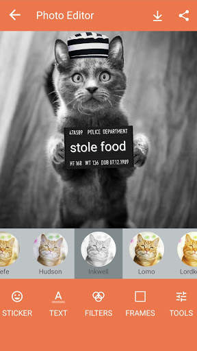 Pet Photo Editor screenshot 5