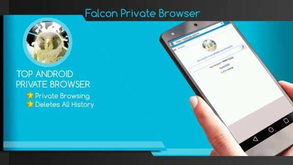 Falcon Private Browser screenshot 1