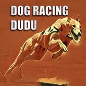 Dog Racing Dudu 5